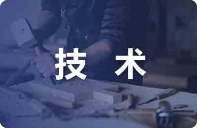 技術轉讓合同（2）