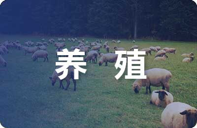 獺兔養殖新技術