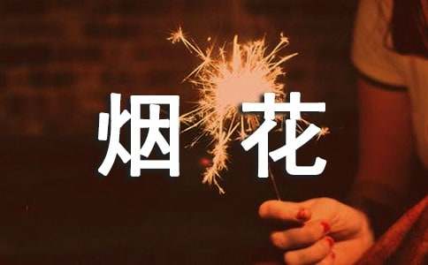 煙花爆竹情況匯報