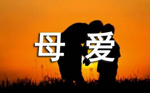 母愛(ài)作文800字（通用22篇）