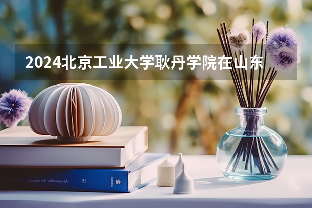 2024北京工業大學耿丹學院在山東怎么招生