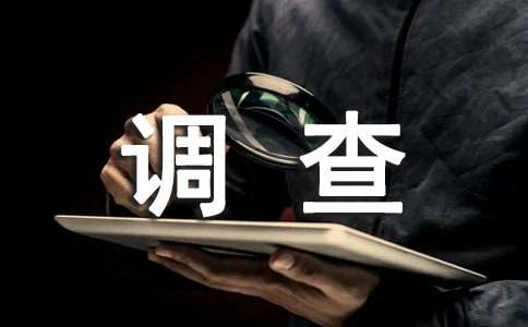 高中生調(diào)查報(bào)告15篇【精品】