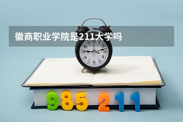 徽商職業學院是211大學嗎