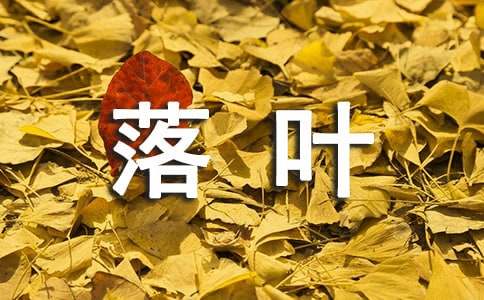 [必備]風中的落葉作文22篇