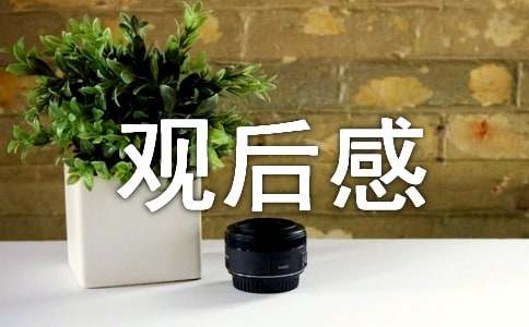 《南京！南京！》觀后感