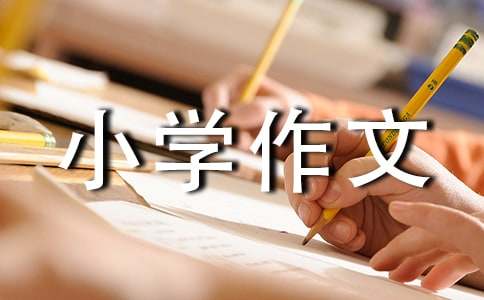 我是誰(shuí)小學(xué)作文