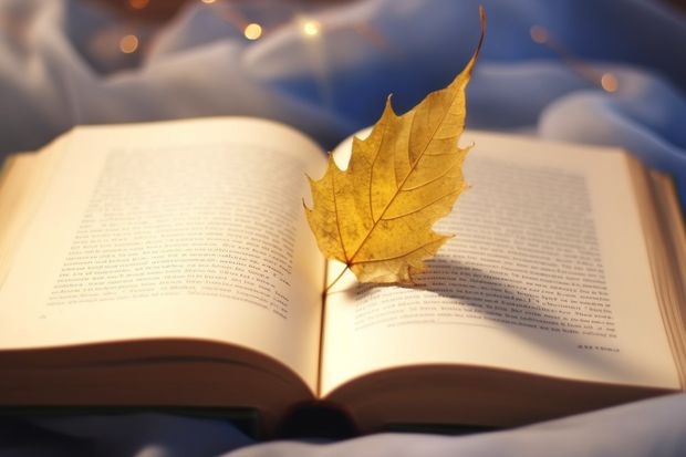 今天報了征集志愿。那通知書什么時候下？