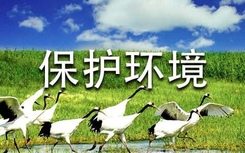 保護環(huán)境的倡議書（精選23篇）