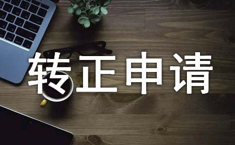 安保隊長轉正申請書（精選11篇）