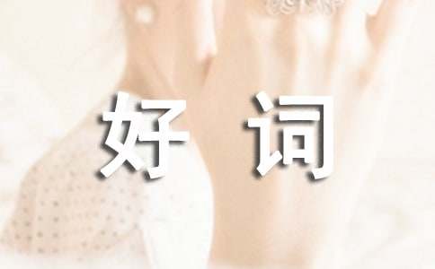 關于水滸傳中的好詞好句