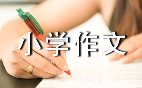 【精品】小學作文700字31篇