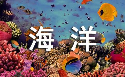 [優選]保護海洋的作文600字
