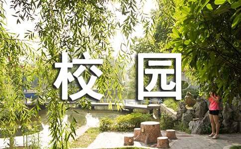 校園多彩的活動作文（通用30篇）