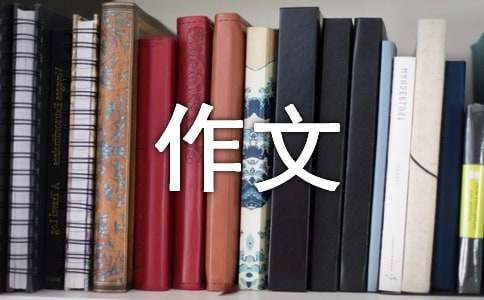 一年級老鷹捉小雞作文（精選17篇）