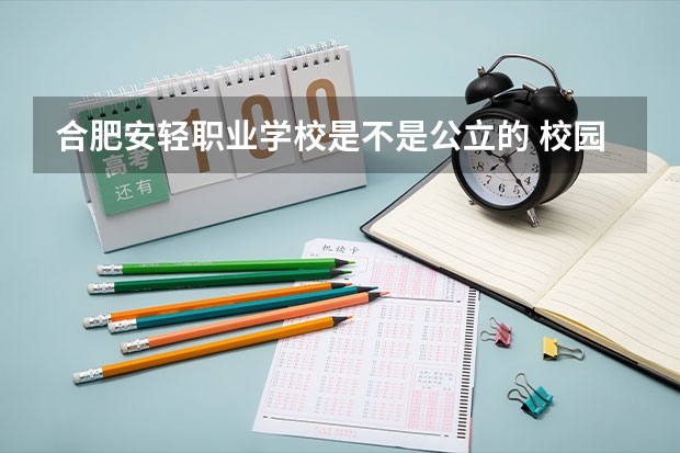 合肥安輕職業(yè)學(xué)校是不是公立的 校園治安怎么樣 亂不亂？