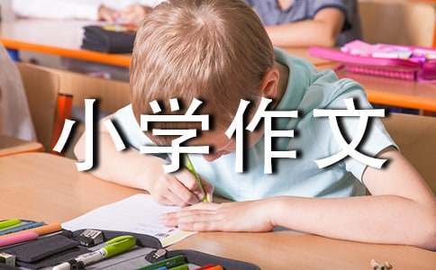 望遠鏡小學作文（精選21篇）