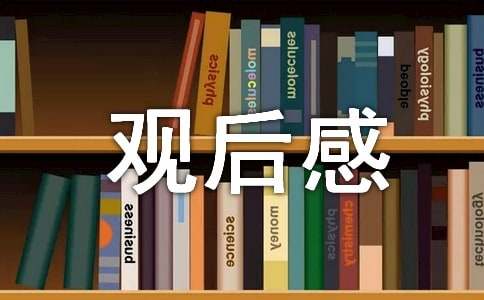 神舟十九號載人飛船發射觀后感（通用17篇）