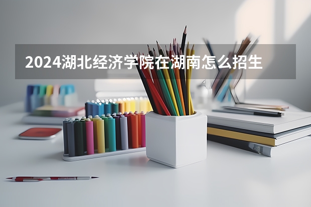 2024湖北經濟學院在湖南怎么招生的