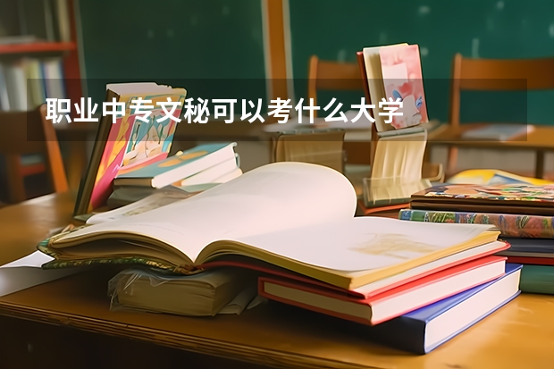 職業(yè)中專文秘可以考什么大學
