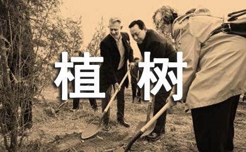 小學一年級春天植樹的作文（通用24篇）