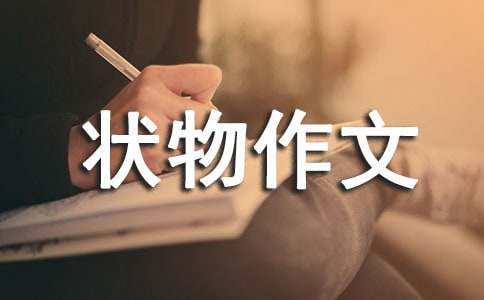 小學(xué)一年級狀物作文150字（通用20篇）
