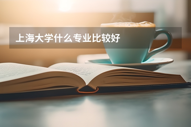 上海大學什么專業比較好