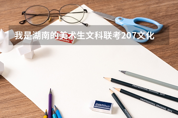 我是湖南的美術生文科.聯考207文化302,可以讀外省什么學校?