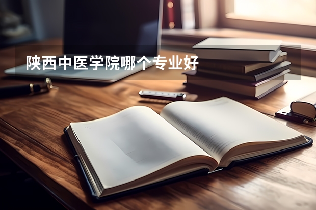 陜西中醫(yī)學院哪個專業(yè)好