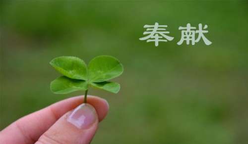 形容奉獻的好句450句