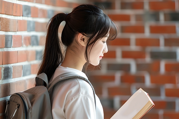 加拿大溫莎大學(xué)出名嗎？？是個(gè)什么樣的學(xué)校呢？？