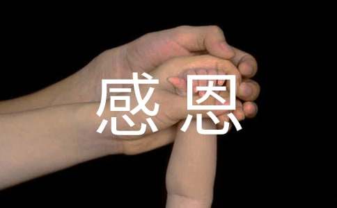 六年級感恩書信作文（精選23篇）