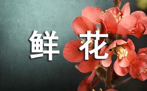 以鮮花寫(xiě)一句擬人句精選120句