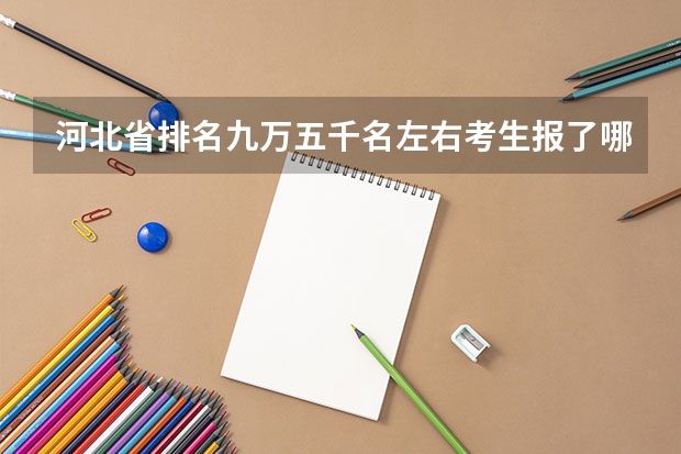 河北省排名九萬五千名左右考生報了哪些學校