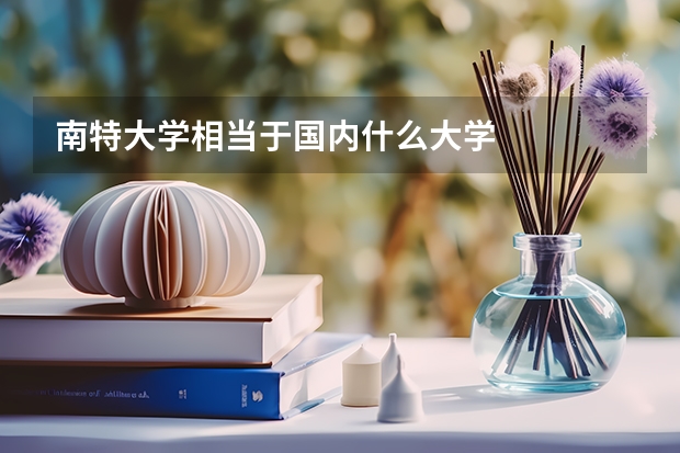 南特大學(xué)相當(dāng)于國內(nèi)什么大學(xué)