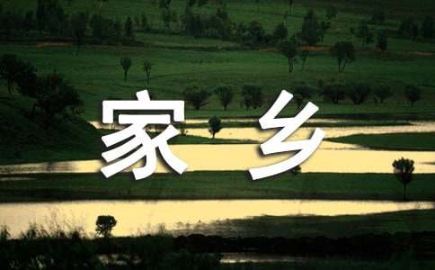 家鄉(xiāng)，那淡淡的黃花高三作文（通用5篇）