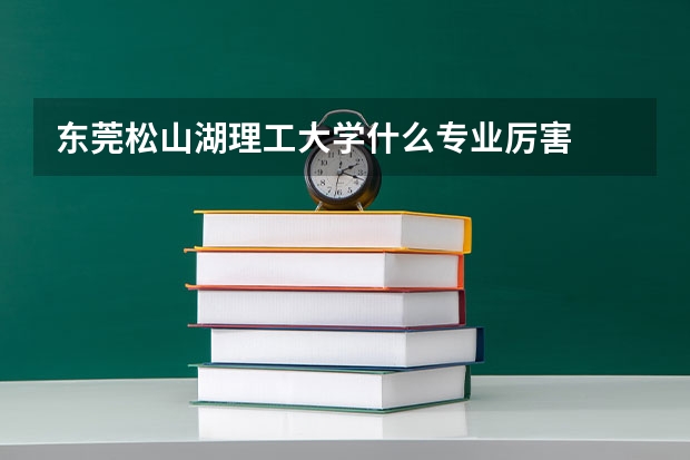 東莞松山湖理工大學什么專業厲害