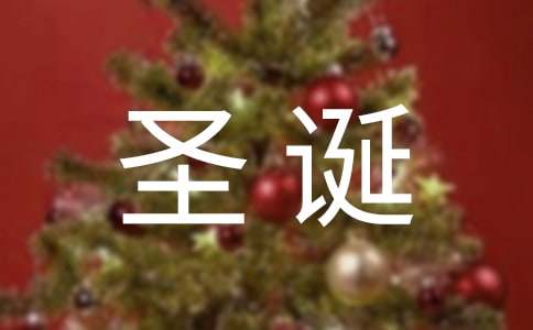 小學生圣誕節作文