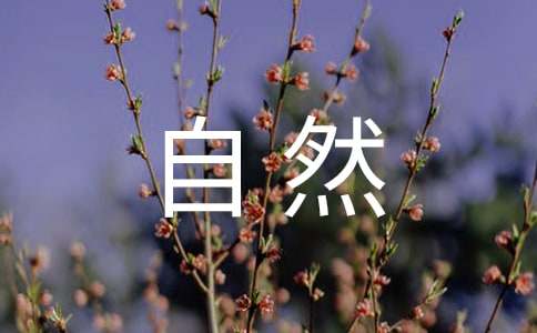 四年級大自然規律作文（精選4篇）