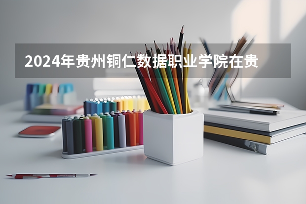 2024年貴州銅仁數據職業學院在貴州招生情況