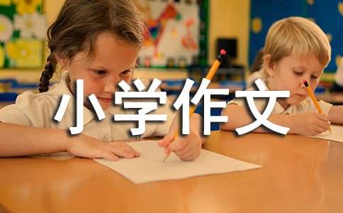 有趣的活動小學作文15篇