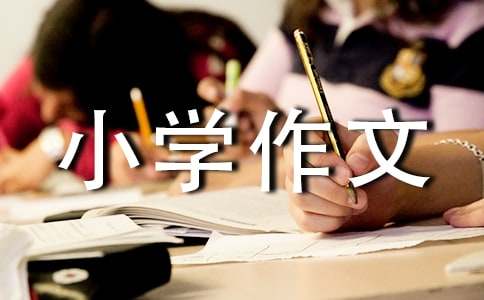 令我敬佩的人小學作文14篇
