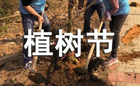 植樹節(jié)二年級作文
