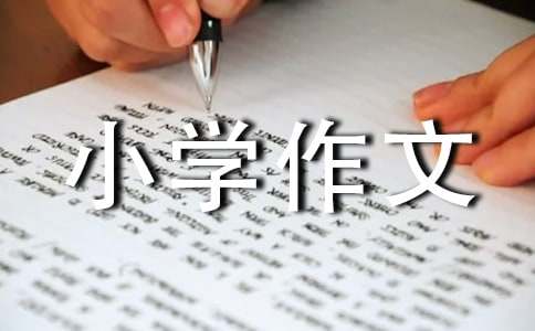 難忘的小學作文300字合集七篇