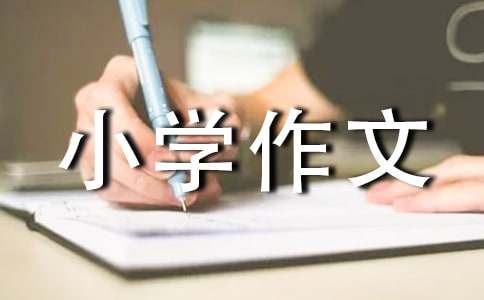 我們小學作文300字10篇