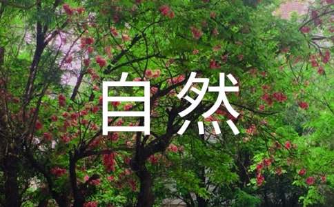 自然災(zāi)害感想