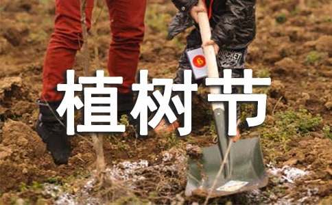 植樹節參加植樹活動的作文