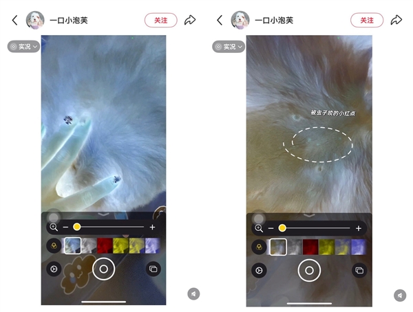 網友發現iPhone能檢查蟲子 蘋果回應：放大器無此功能