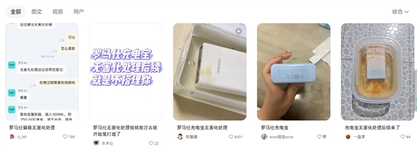 網友被羅馬仕客服騙了：無害化處理后僅補償5元