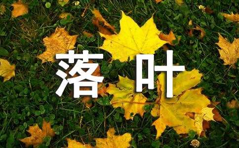 落葉高三作文