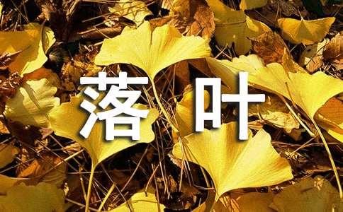 【通用】落葉高三作文2篇